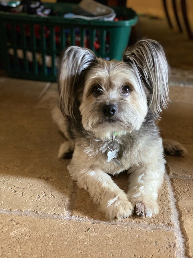 Radar