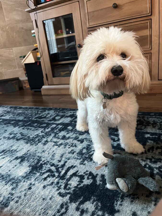 Benny