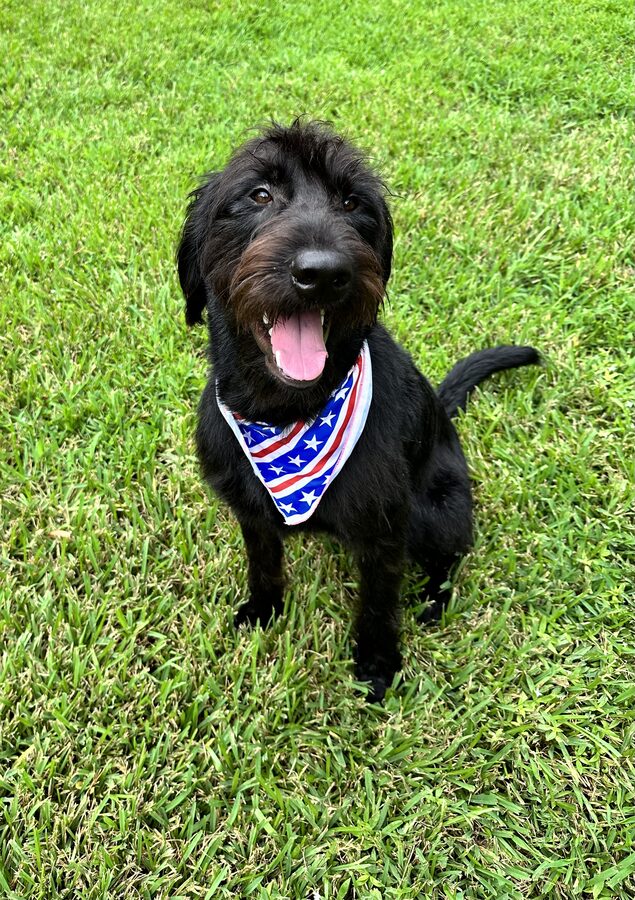 George