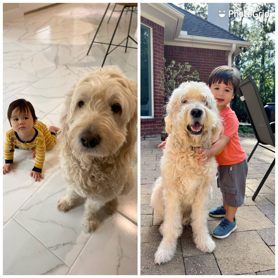 Max