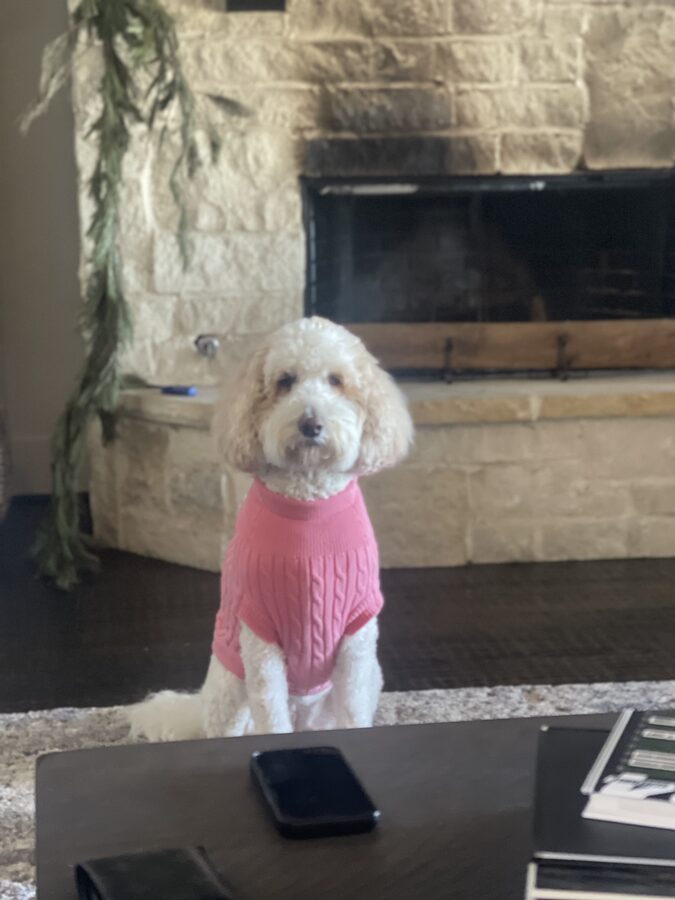 Bella