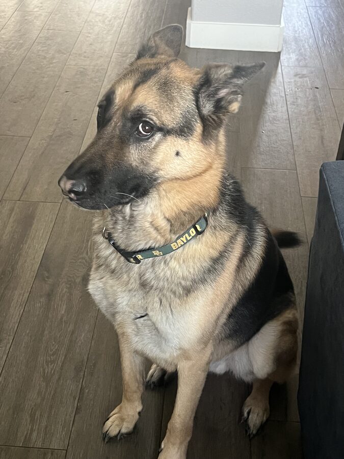 Oakley