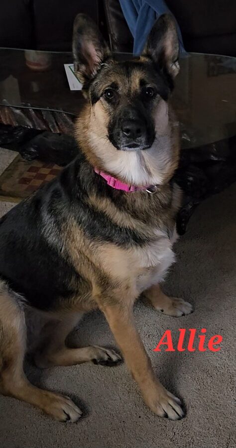 Allie