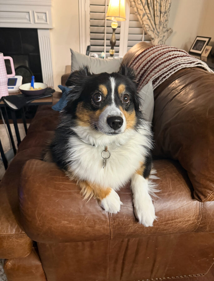 Charley