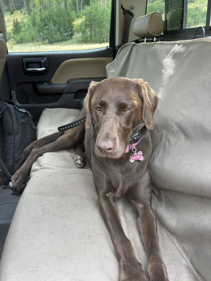 Sadie